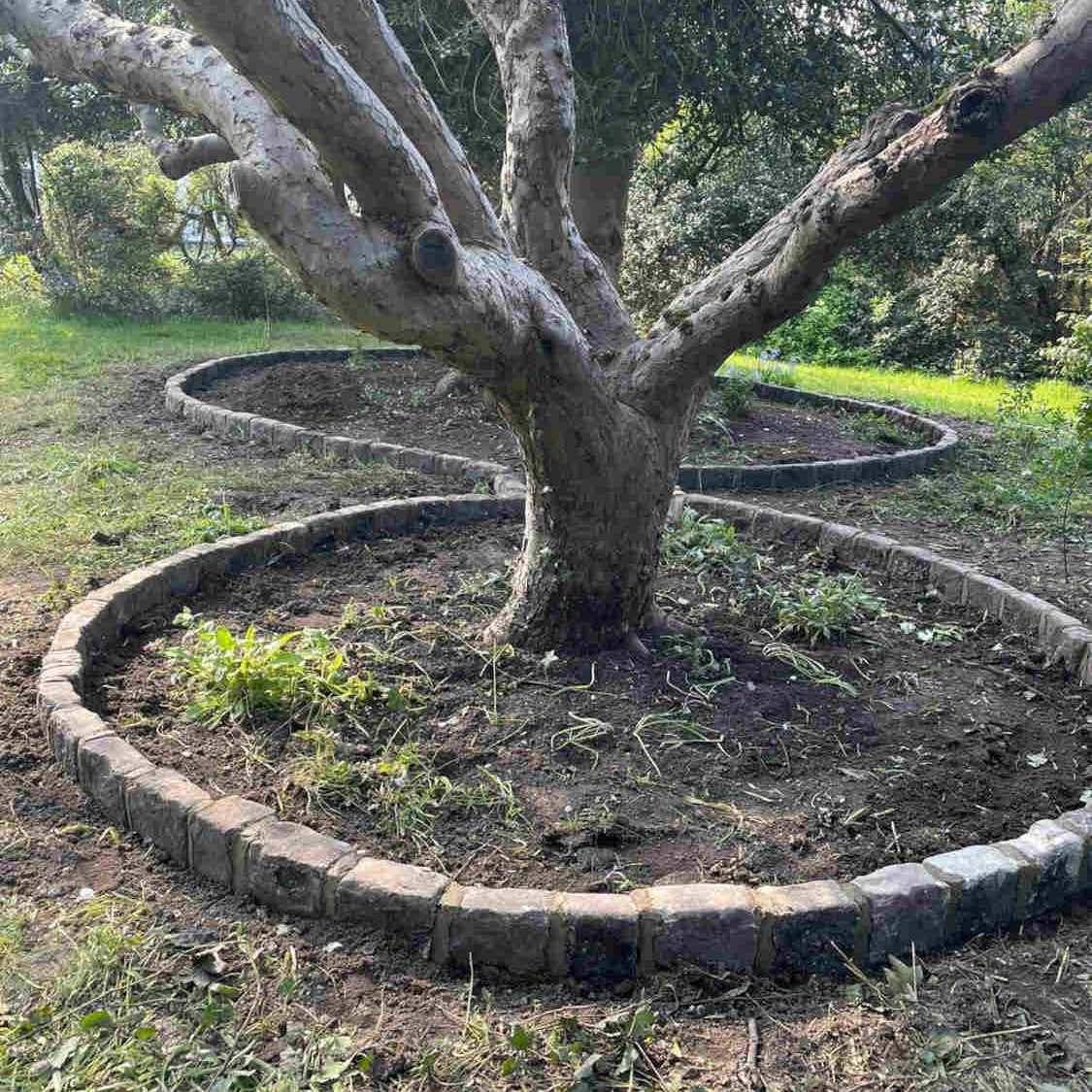 Reclaimed  cobble setts |  Britannia Stone