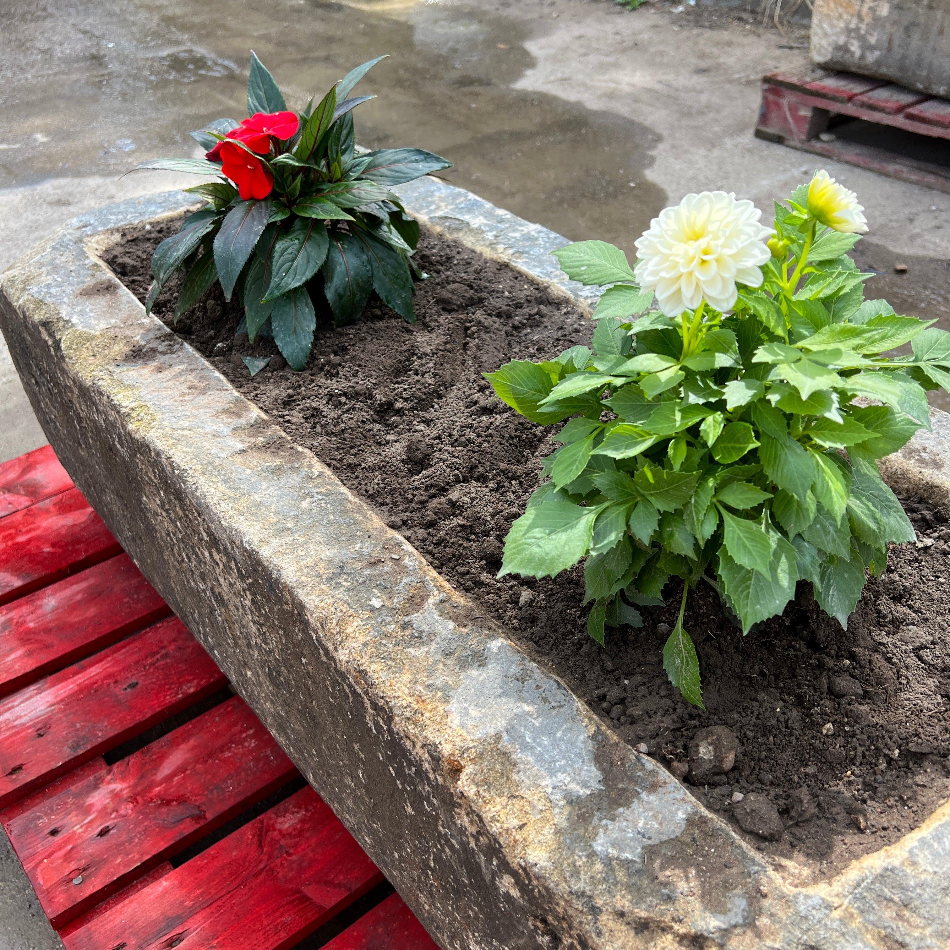 Reclaimed Stone Trough / Planter - No.12 - Reclaimed Brick Company