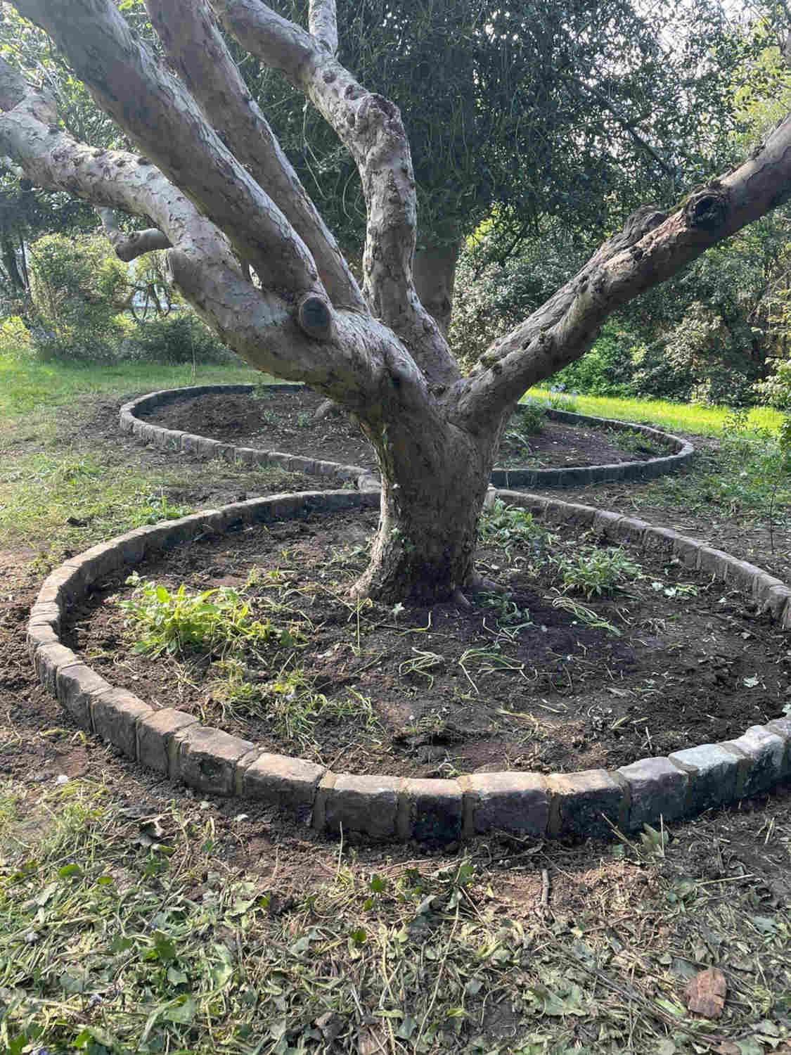 Reclaimed  cobble setts |  Britannia Stone