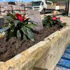 Reclaimed Stone Trough / Planter - No.16 -  Britannia Stone