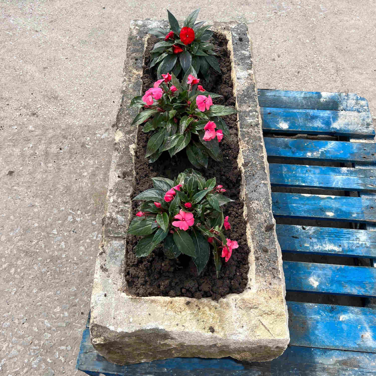 Reclaimed Stone Trough Planter | Britannia Stone