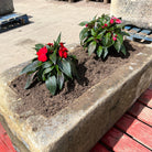 Reclaimed Stone Trough / Planter - No. 5 - Reclaimed Brick Company