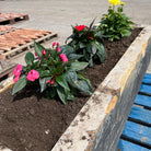 Reclaimed Stone Trough / Planter - No. 7 - Reclaimed Brick Company