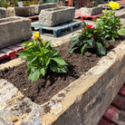 Reclaimed Stone Trough / Planter - No. 8 - Reclaimed Brick Company