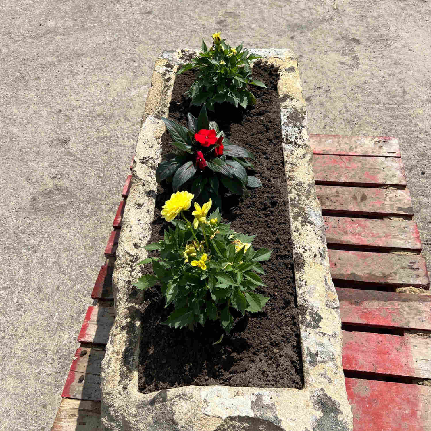 Reclaimed Stone Trough Planter | Britannia Stone