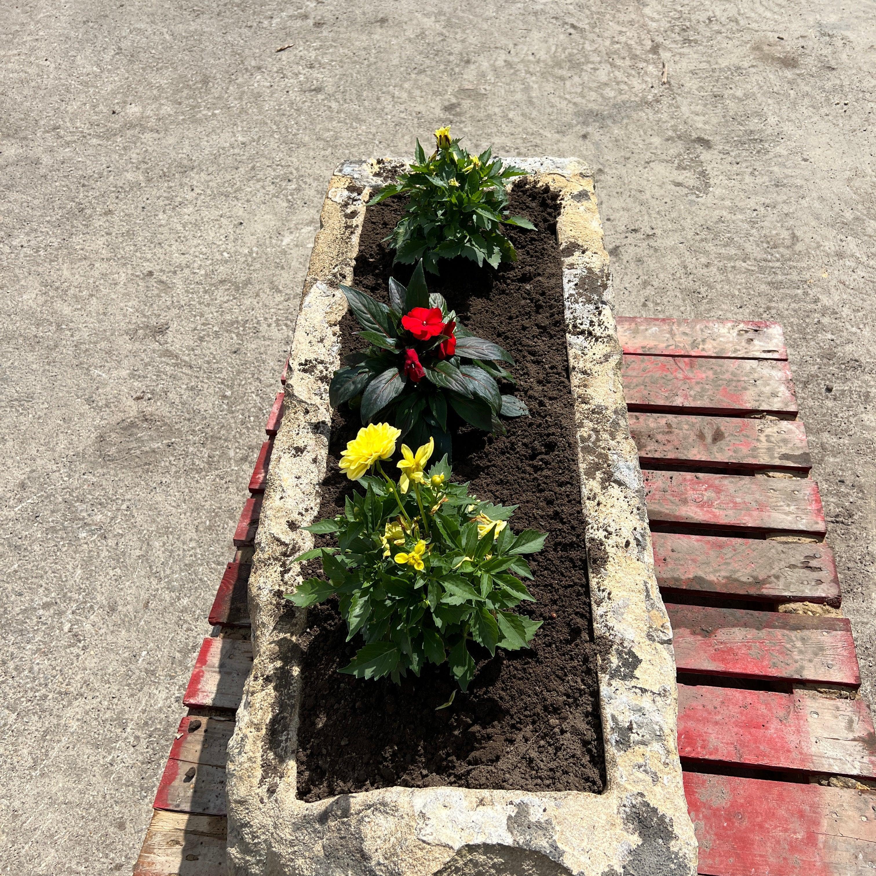 Reclaimed Stone Trough / Planter - No. 8 - Reclaimed Brick Company