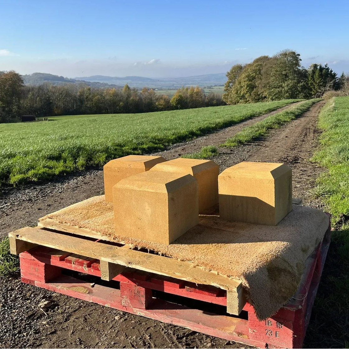Staddle Stones - Britannia Stone