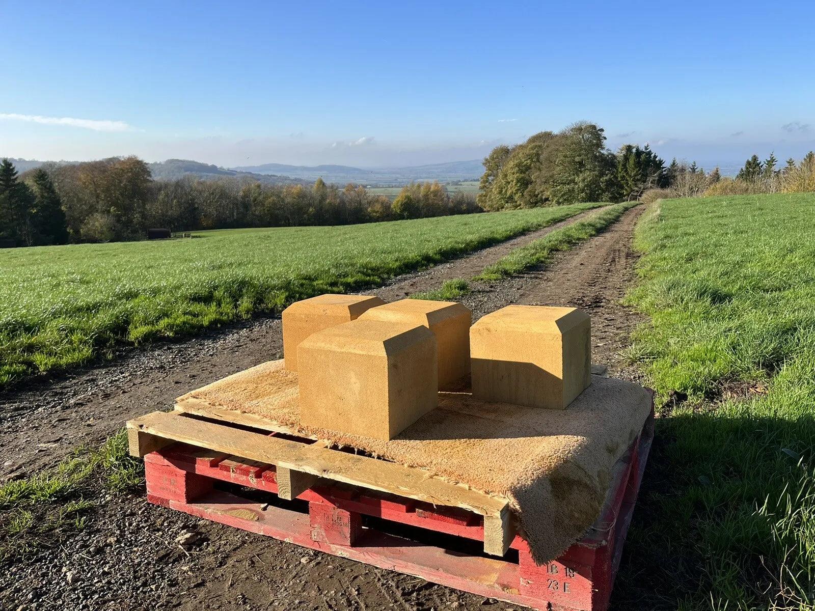 Staddle Stones - Britannia Stone